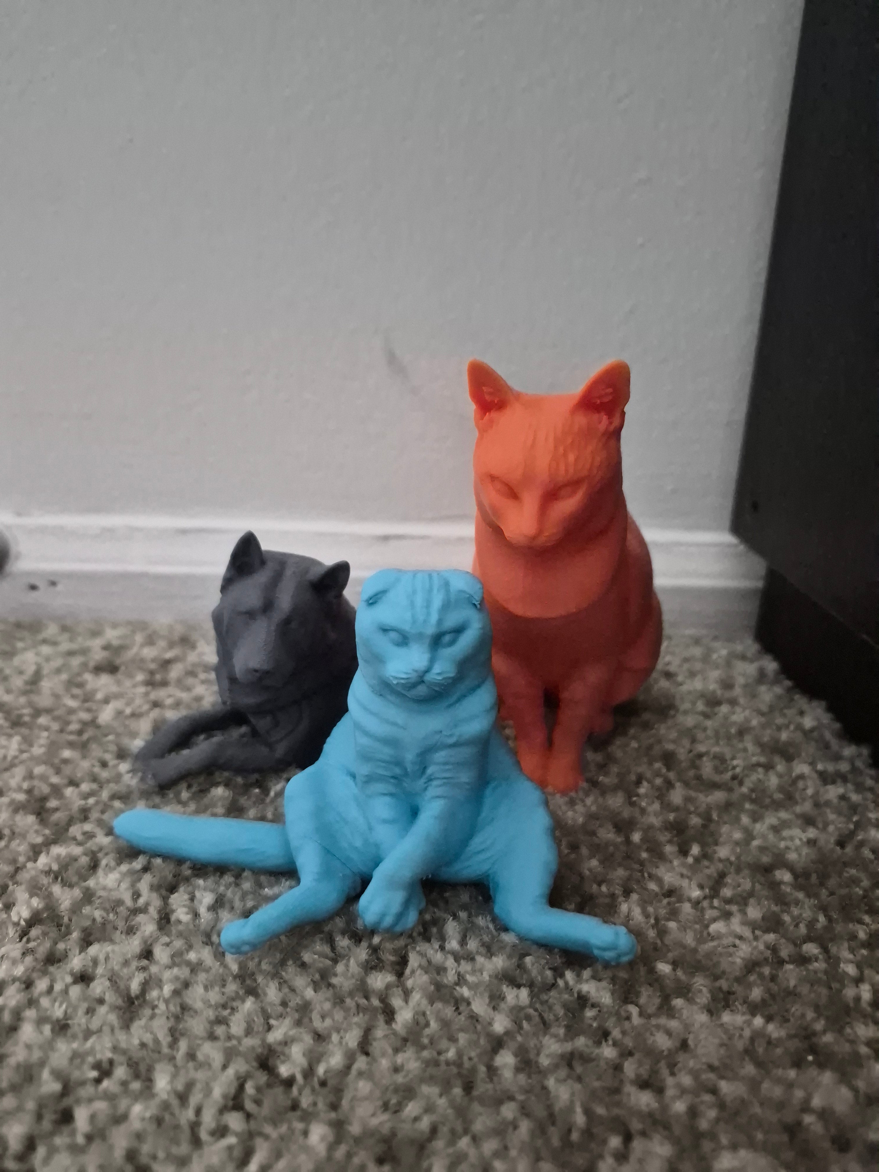 Custom 3D Pet Creations, Made Simply